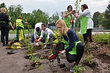 Uczestnicy seminarium Smart&Green sadzą swoje rośliny na skwerze miast partnerskich w Parku Jordana