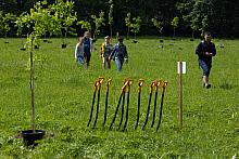 BS KR PL 20170527 IMG 8951