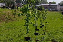 BS KR PL 20170527 IMG 8967