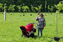 BS KR PL 20170527 IMG 8989