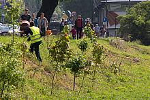 BS KR PL 20170527 IMG 8998