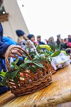 BS KR 20180331 IMGL2909