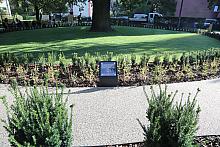 20181006155138 IMG 6866