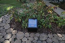 20181006155448 IMG 6881