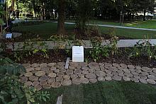 20181006155529 IMG 6887