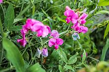 BS KR PL 20180825 IMG 9387