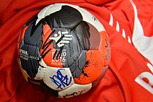 Spotkanie z okazji Mistrzostw Europy w Piłce Ręcznej Mężczyzn