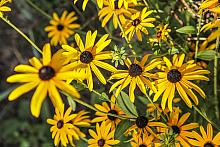 BS KR PL 20170909 IMG 3340