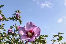 BS KR PL 20170909 IMG 3341