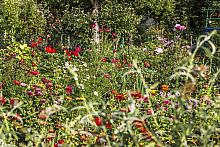 BS KR PL 20170909 IMG 3344