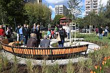 Otwarcie parku kieszonkowego przy ul. Nad Potokiem